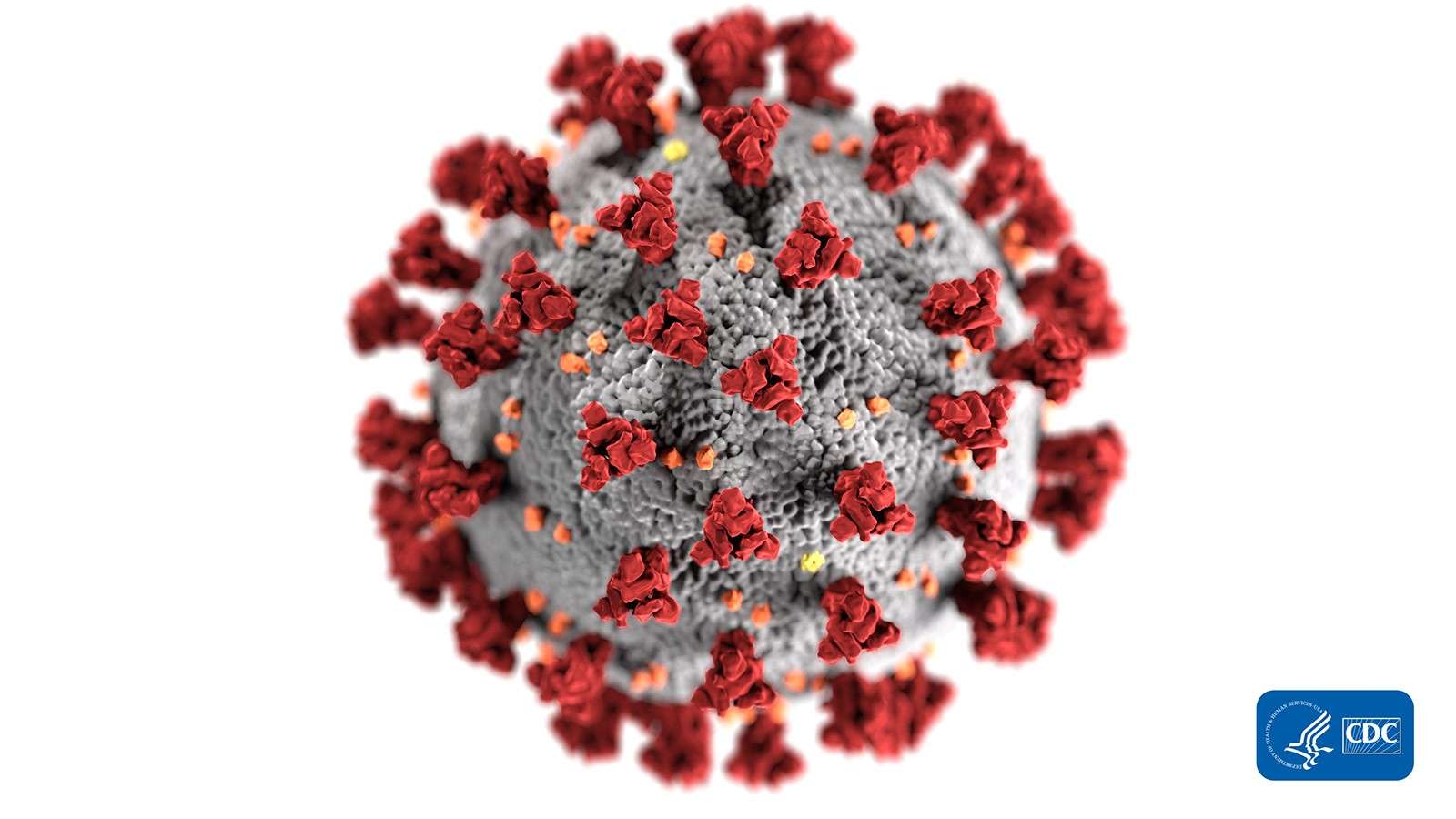 Coronavirus: spostamento tra regioni, si va verso lo stop fino al 31 marzo