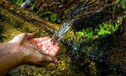 Acqua, grande gap con il resto d’Europa in tema di investimenti per la tutela della risorsa