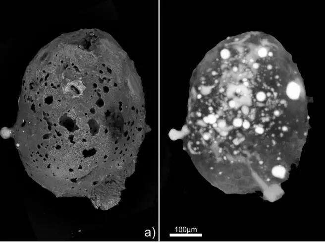 Un rarissimo meteorite è caduto in Sud Italia, a studiarla un team dell’Università di Bari