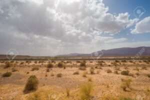 Piano Mattei. Firmata intesa con l’Algeria per il recupero di 36 mila ettari di terreno