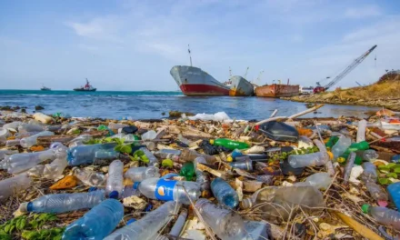 Trattato Onu contro l’inquinamento da plastica: fallito il sesto round a Ginevra