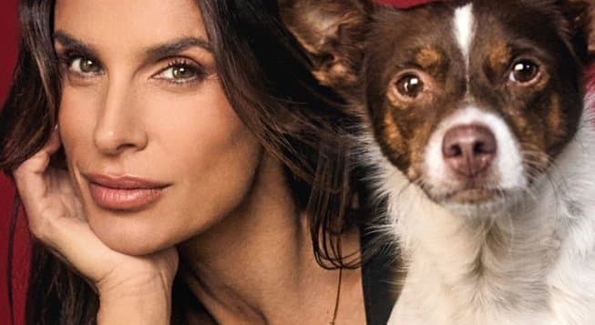 Elisabetta Canalis scrive un libro: “L’anima che ti guida può avere quattro zampe”