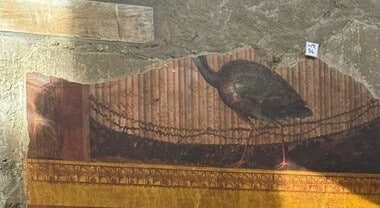 Villa di Poppea, a Pompei nuova luce sul Salone della Maschera e del Pavone