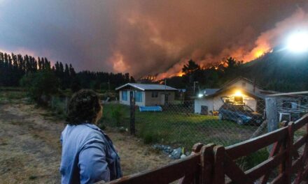 In Argentina la Patagonia è in fiamme