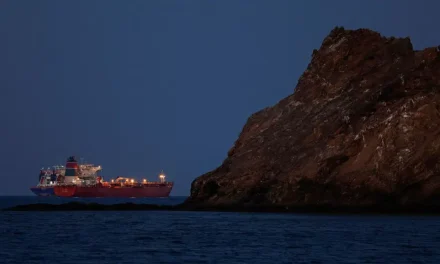 Hormuz, la coalizione proposta da Trump non decolla: alleati cauti e Germania contraria